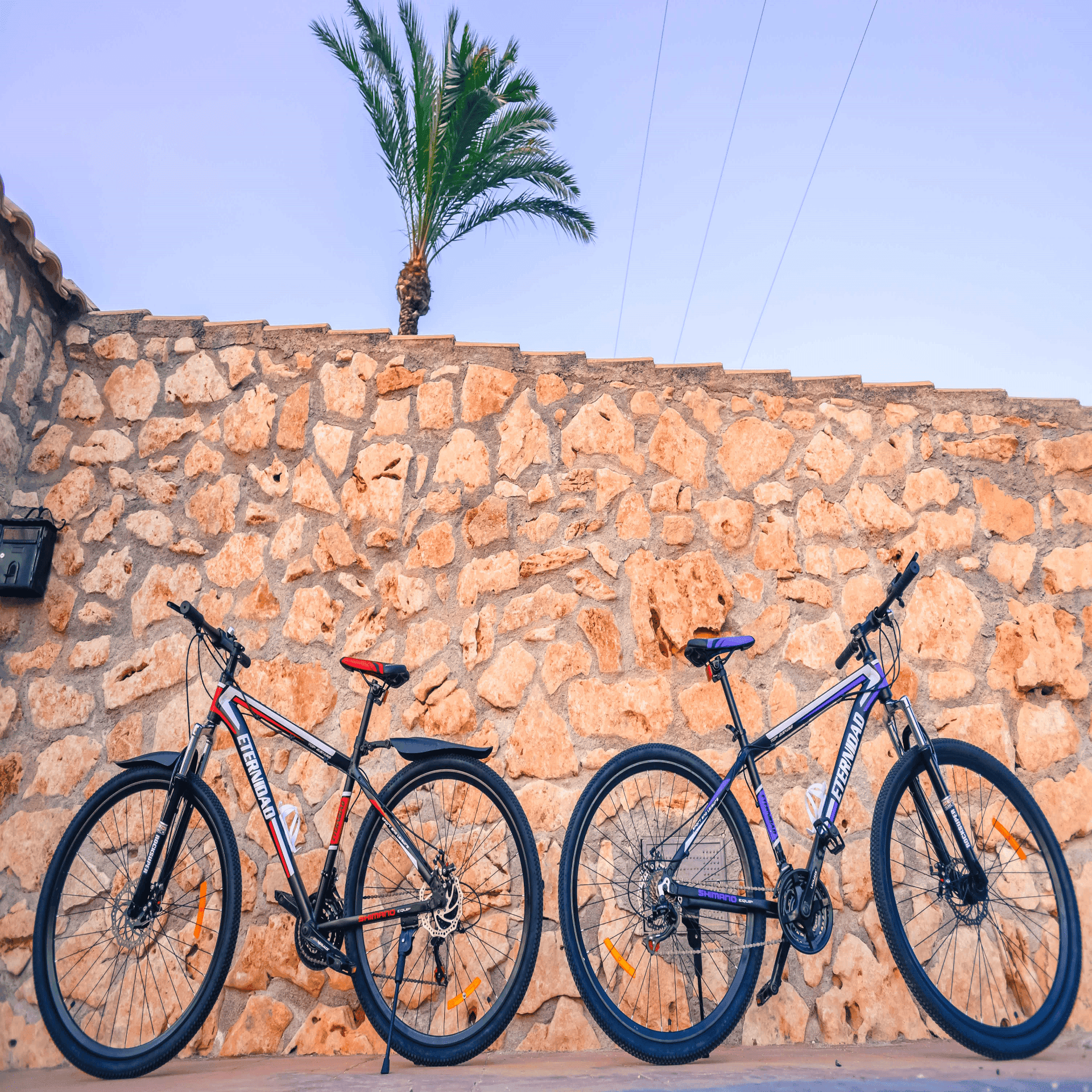 Bicicleta de montaña 29' Roja