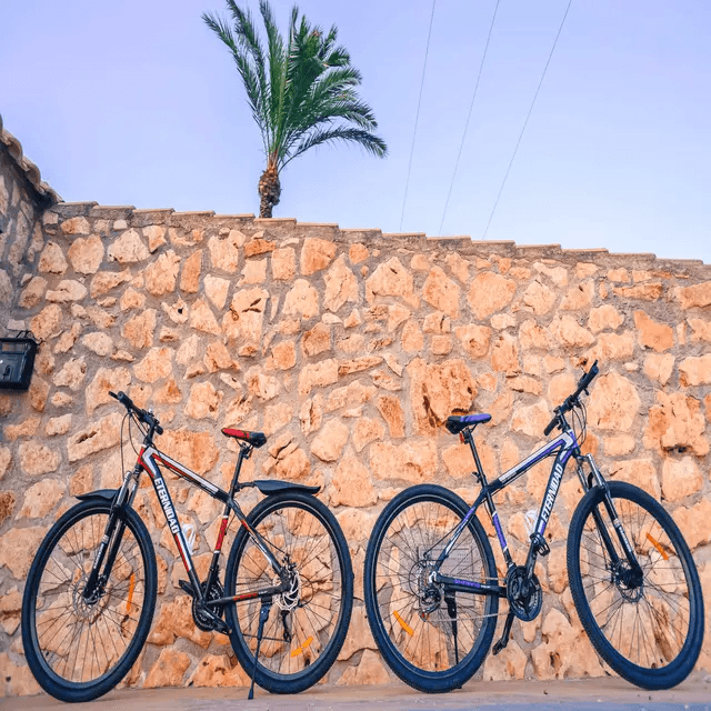 Bicicleta de montaña 29'